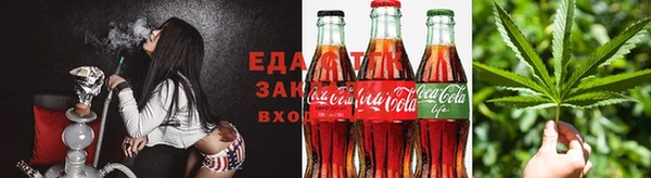 крисы Заводоуковск